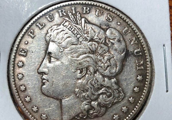 Silver Dollars
